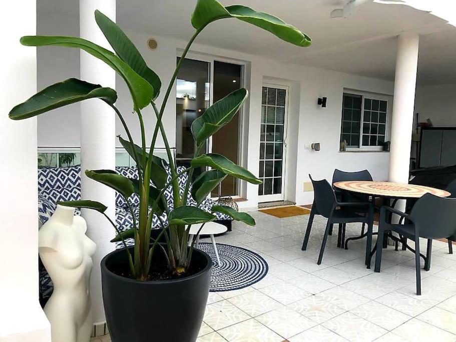 Pura Vida Strandnahes Ferienappartment In Bester Lage! ปูแอร์โตเดลาครูซ ภายนอก รูปภาพ